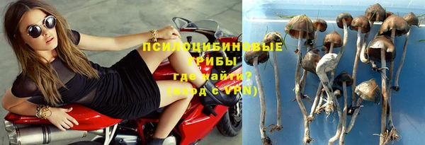 мдма Новодвинск